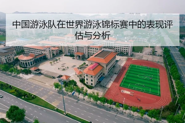 中国游泳队在世界游泳锦标赛中的表现评估与分析