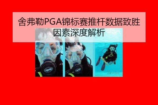 舍弗勒PGA锦标赛推杆数据致胜因素深度解析