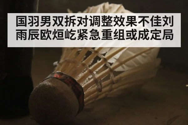 国羽男双拆对调整效果不佳刘雨辰欧烜屹紧急重组或成定局